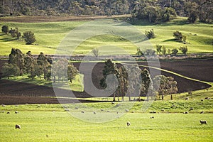 Rural landscape Colebrook Tasmania