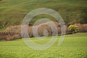 Rural landscape Colebrook Tasmania