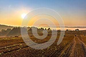 Rural landscape. Colorful sunrise in foggy countryside over agricultural field with harvested wheat