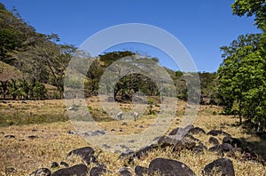 Rural landscape of Costa Rica