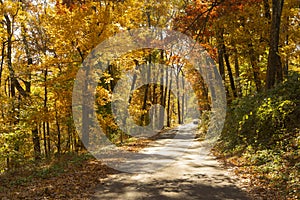 Rural Landscape Country Road Fall Autumn Season Leaves Changing