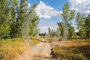 Rural landscape. A country road runs through a sparse grove on the right Bank of the river. Clear blue sky with clouds in the