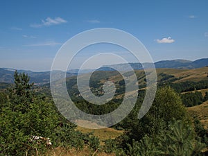 Rural landscape with cow in autumn colours somewhere in Transylvania Romania