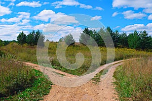 Rural landscape with crossroad