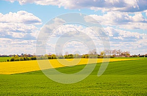 Rural landscape of cultivated fields in Nouvelle-Aquitaine