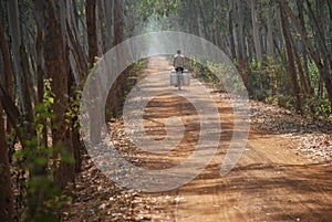 Rural landscape and cyclist at bishnupur