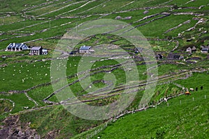 Rural landscape on Dingle Peninsula