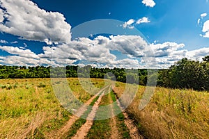 Rural landscape dirt road in the field