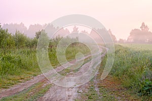 Rural landscape with a dirt road going into the distance into the fog.