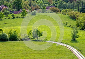 Rural landscape with a dirt road, green grass, and trees near a village in the countryside.