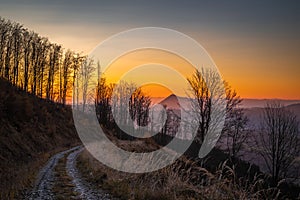 Rural landscape with dirt road