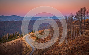 Rural landscape with dirt road