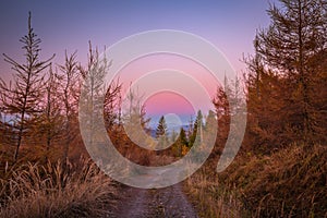 Rural landscape with dirt road