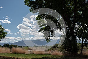 Rural landscape with distant mountains in summer