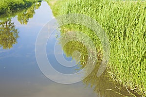 Rural landscape with ditch, green grass and water - image with reflection of the sky on water