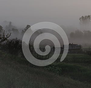 Rural landscape in early morning fog