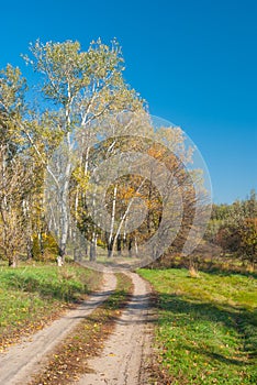 Rural landscape with earth road