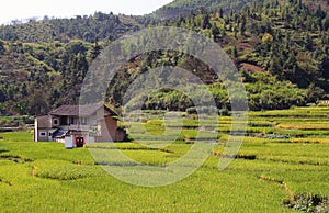 Rural landscape in eastern China