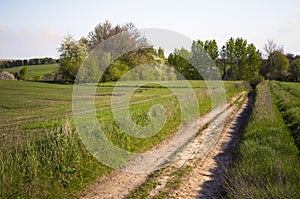 Rural Landscape Eastern Poland