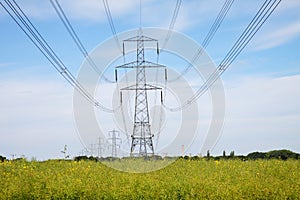 Rural Landscape with Electricity Pylons