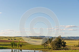 Rural landscape and extensive cattle ranching area