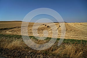 Rural landscape of Ezemvelo Nature Reserve Vlakfontein, South Africa with harvested wheat fields