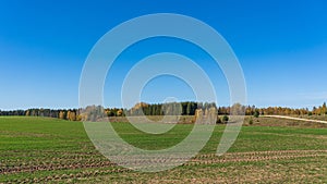 The rural landscape in the fall. Traces of tractor tyres in the cereal field