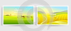 Rural landscape. Farm Agriculture. Vector illustration. Poster with meadow, Countryside, retro village for info graphic