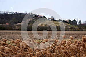 Rural landscape featuring a farm and buildings in the distance, Velke Pavlovice, czech republic