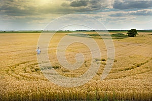 Rural landscape of fertile land