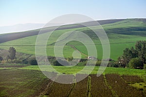 rural landscape with field and blue sky in morocco, photo as background