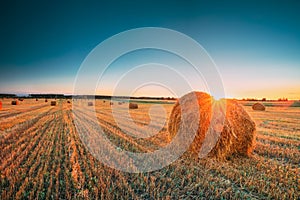 Rural Landscape Field Meadow With Hay Bales During Harvest In Sunny Evening. Late Summer