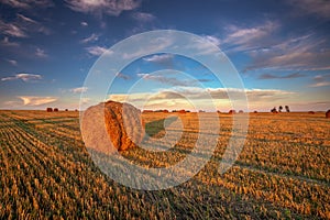 Rural Landscape Field Meadow With Hay Bales During Harvest In Sunny Evening. Late Summer