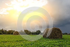 Rural Landscape Field Meadow With Hay Bales After Harvest In Sunny Evening At Sunset Or Sunrise In Late Summer. Blue Sunny Sky And