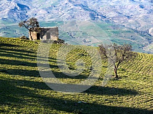 Rural landscape of a field with a old stone lodge