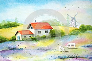 Rural landscape with fields, farm house, sheeps and a windmill