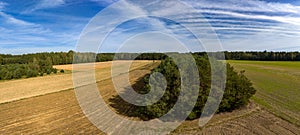 Rural Landscape with Fields, Forests, and Clear Blue Sky