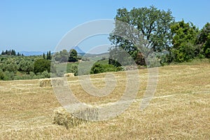 Rural landscape with fields and mount Erymanthos in Greece photo
