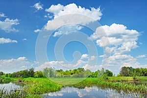 Rural landscape with flood waters of Narew river,