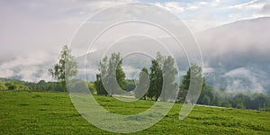 rural landscape with forested hills