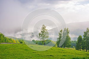 rural landscape with forested hills