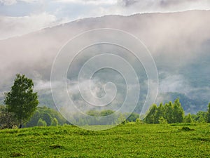 rural landscape with forested hills