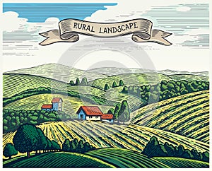 Rural landscape in graphical style.