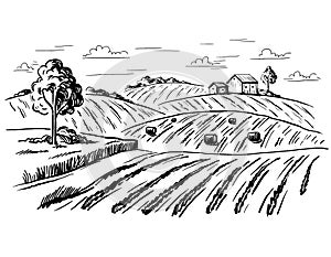 Rural landscape in graphical style photo