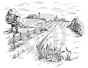 Rural landscape in graphical style photo