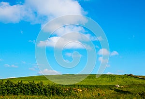 Rural landscape with green cultivations and blue sky, south italy photo
