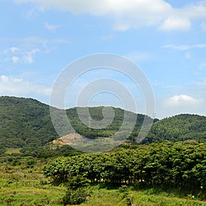 Rural landscape