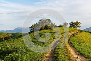 rural landscape of green farm fields and country hillsides