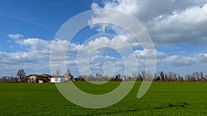 Rural landscape with green grass and blue sky with white clouds.
