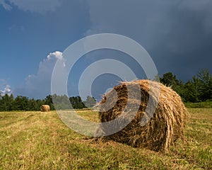 Rural landscape with hay stacks, field with roll bales, domestic livestock fodder, dark gloomy clouds